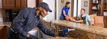 Trusted Olivarez, TX Pest Control Experts